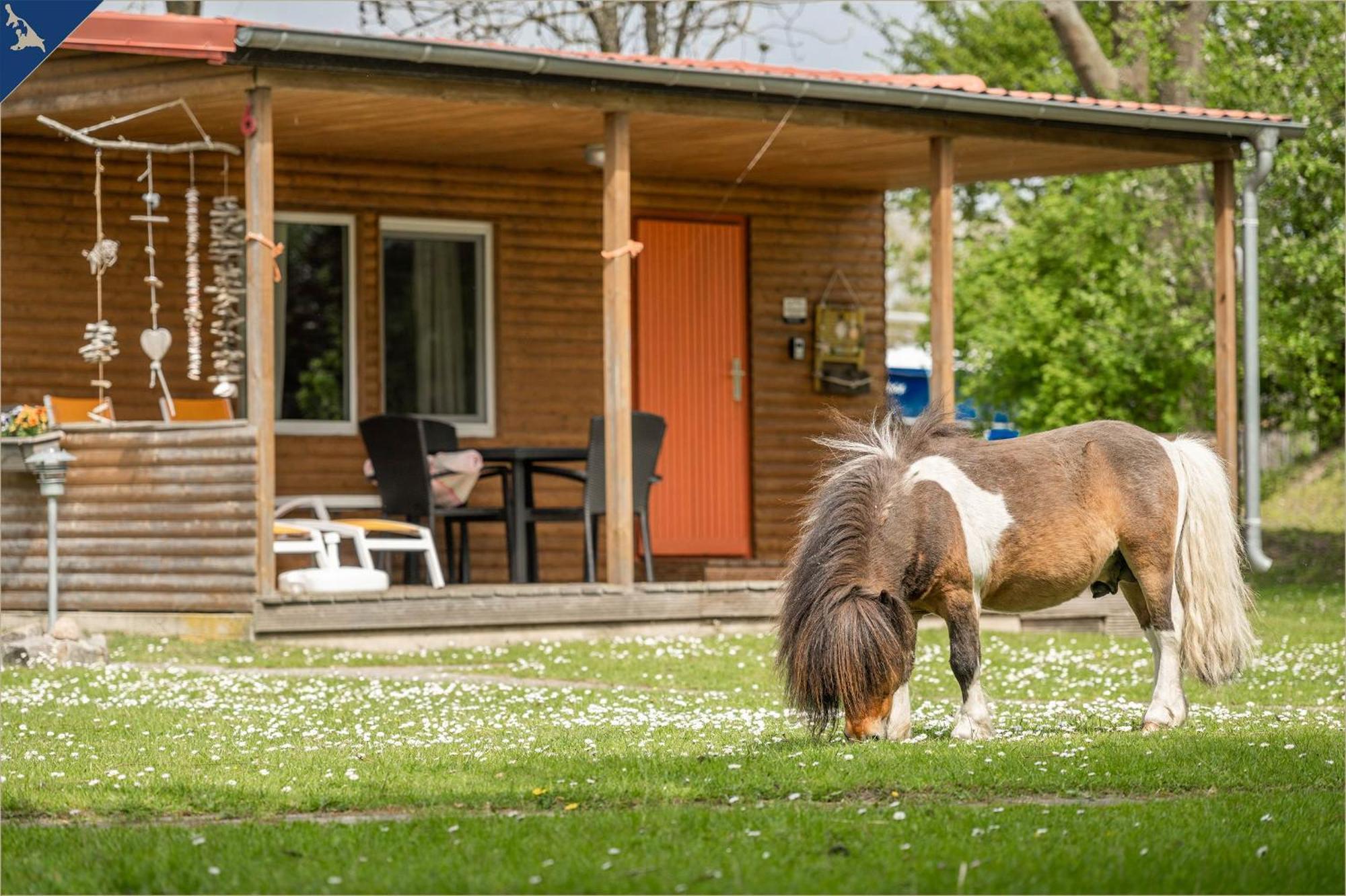 Ferienresort Moewenort Luetow Bungalow 1 Lutow エクステリア 写真